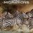 Great Migrations : 1.Sezon 5.Bölüm izle