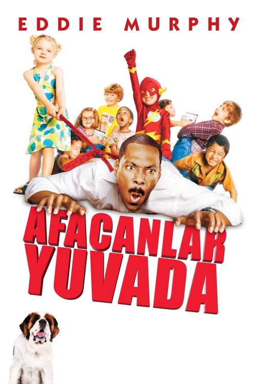 Afacanlar Yuvada izle (2003)