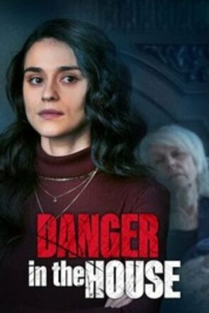 Danger in the House izle (2022)