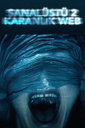 Sanal Üstü 2: Karanlık Web izle (2018)