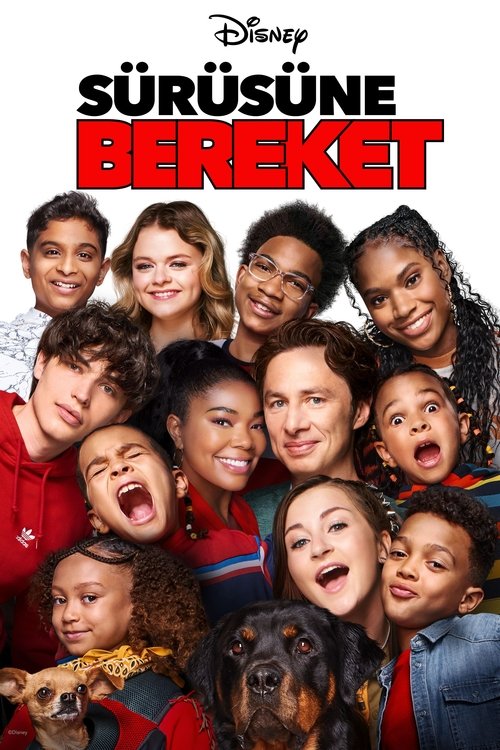 Sürüsüne Bereket izle (2022)