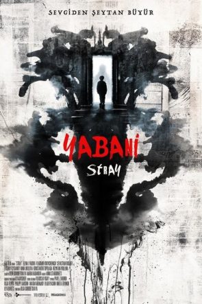 Yabani – Stray izle (2019)