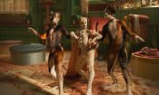 Cats izle (2019)