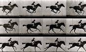 Eadweard izle
