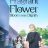 The Fragrant Flower Blooms with Dignity : 1.Sezon 3.Bölüm izle