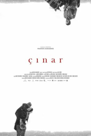 Çınar izle (2018)