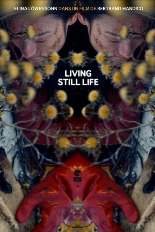 La résurrection des natures mortes (Living Still Life) izle (2014)