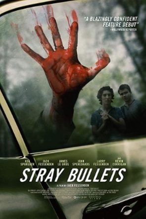 Stray Bullets izle (2017)