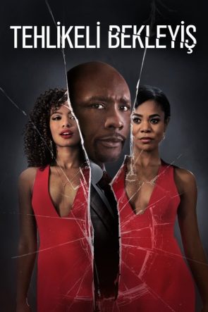 Tehlikeli Bekleyiş izle (2016)